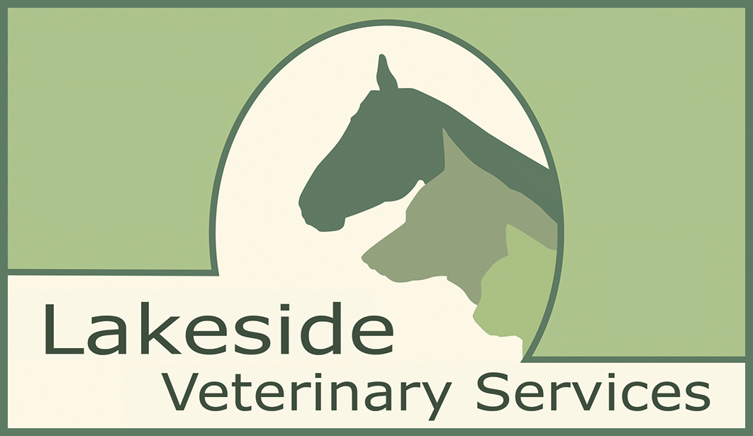 Lakeside Veterinary Services